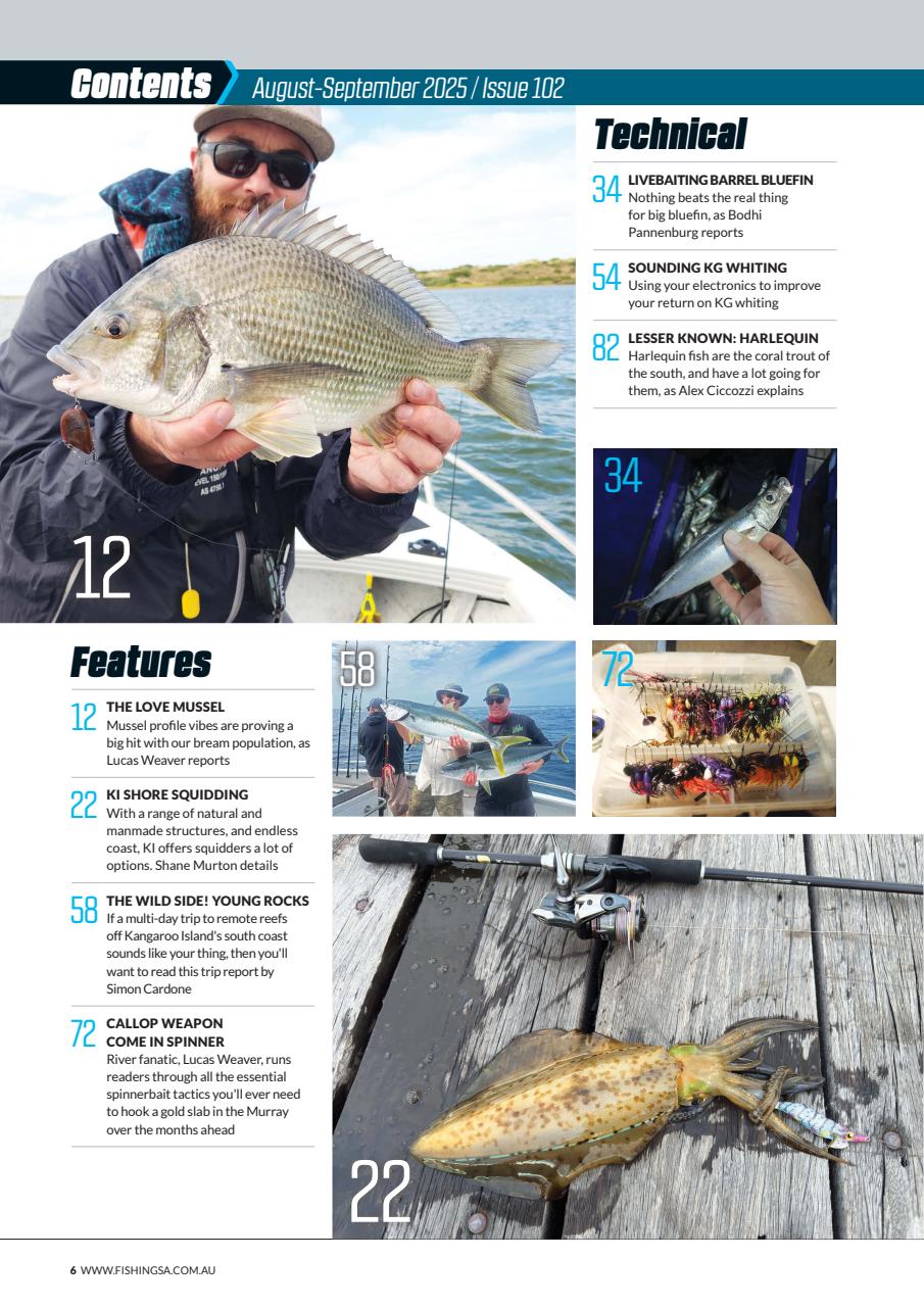 Fishing SA Preview Pages