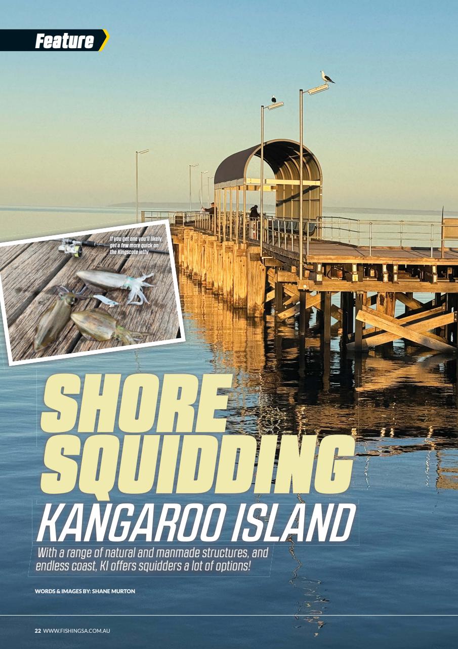 Fishing SA Preview Pages