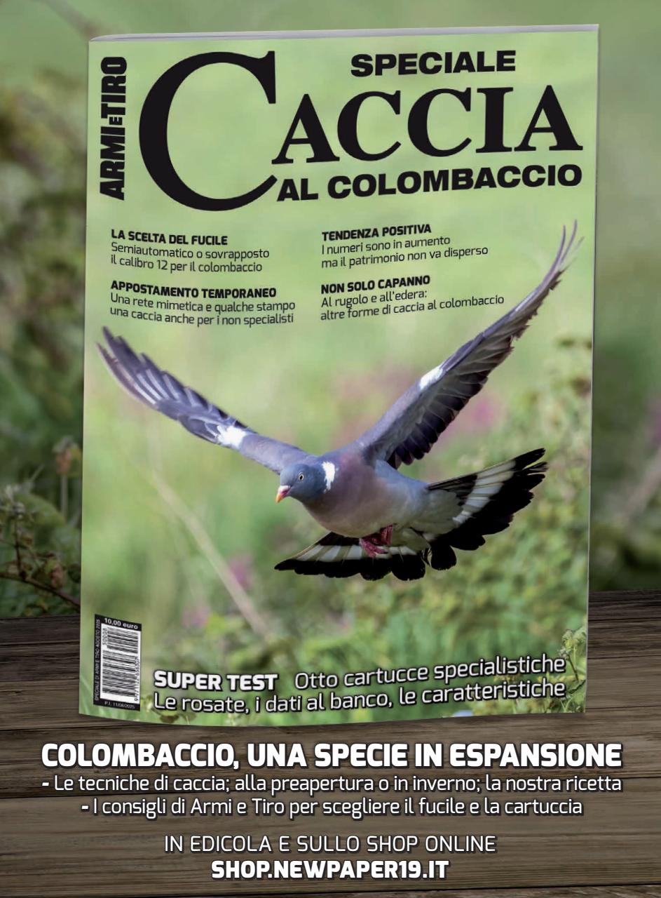 ARMI SHOP Preview Pages