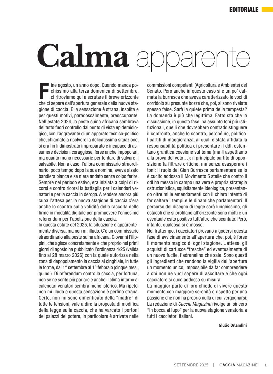 Caccia Magazine Preview Pages