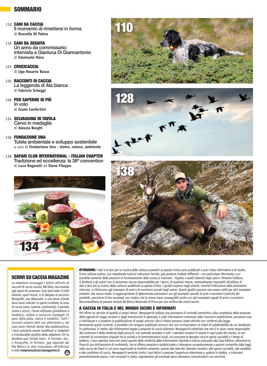 Caccia Magazine Preview Pages