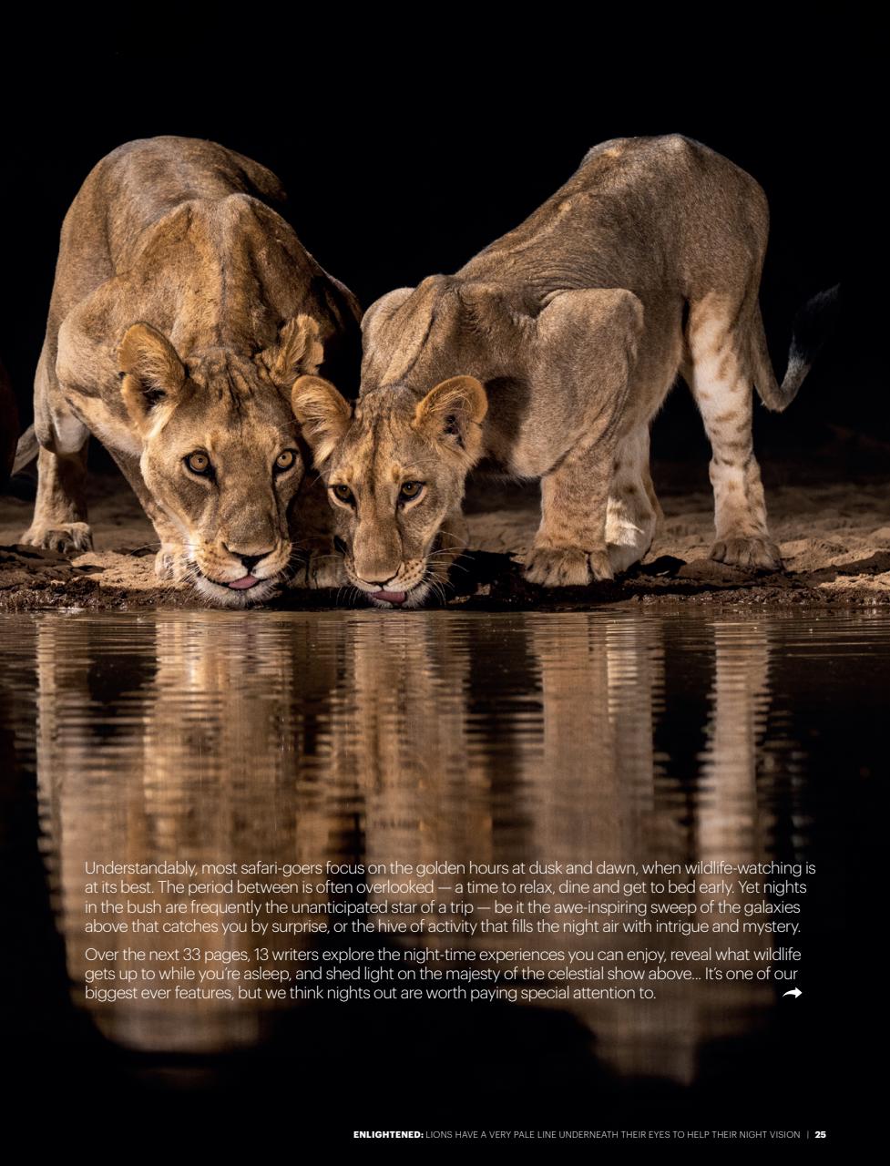 Travel Africa Preview Pages