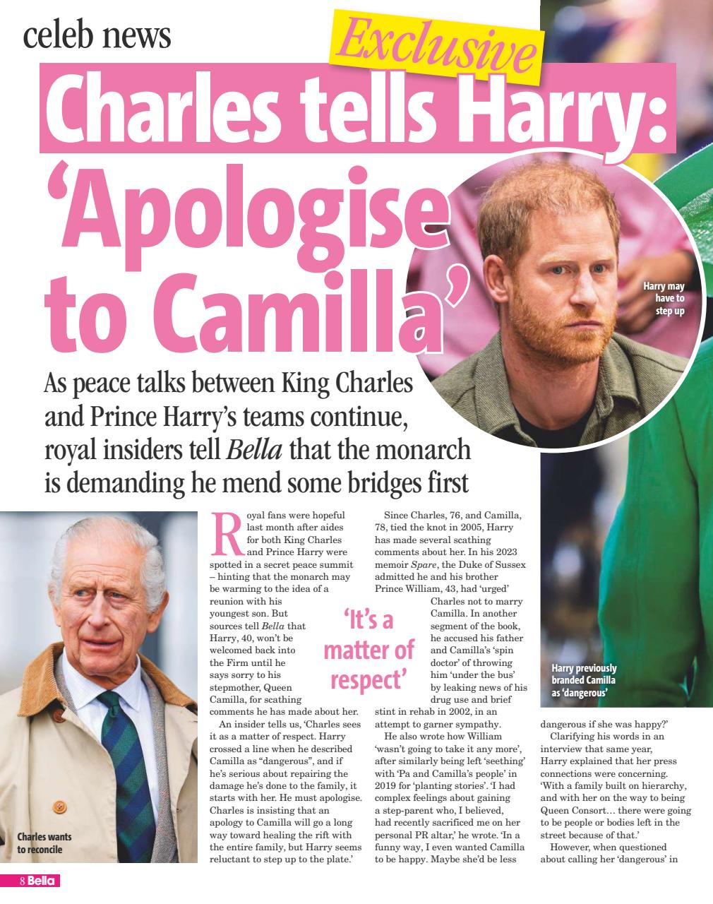 Bella Magazine Preview Pages