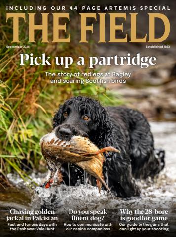 The Field issue September 2025