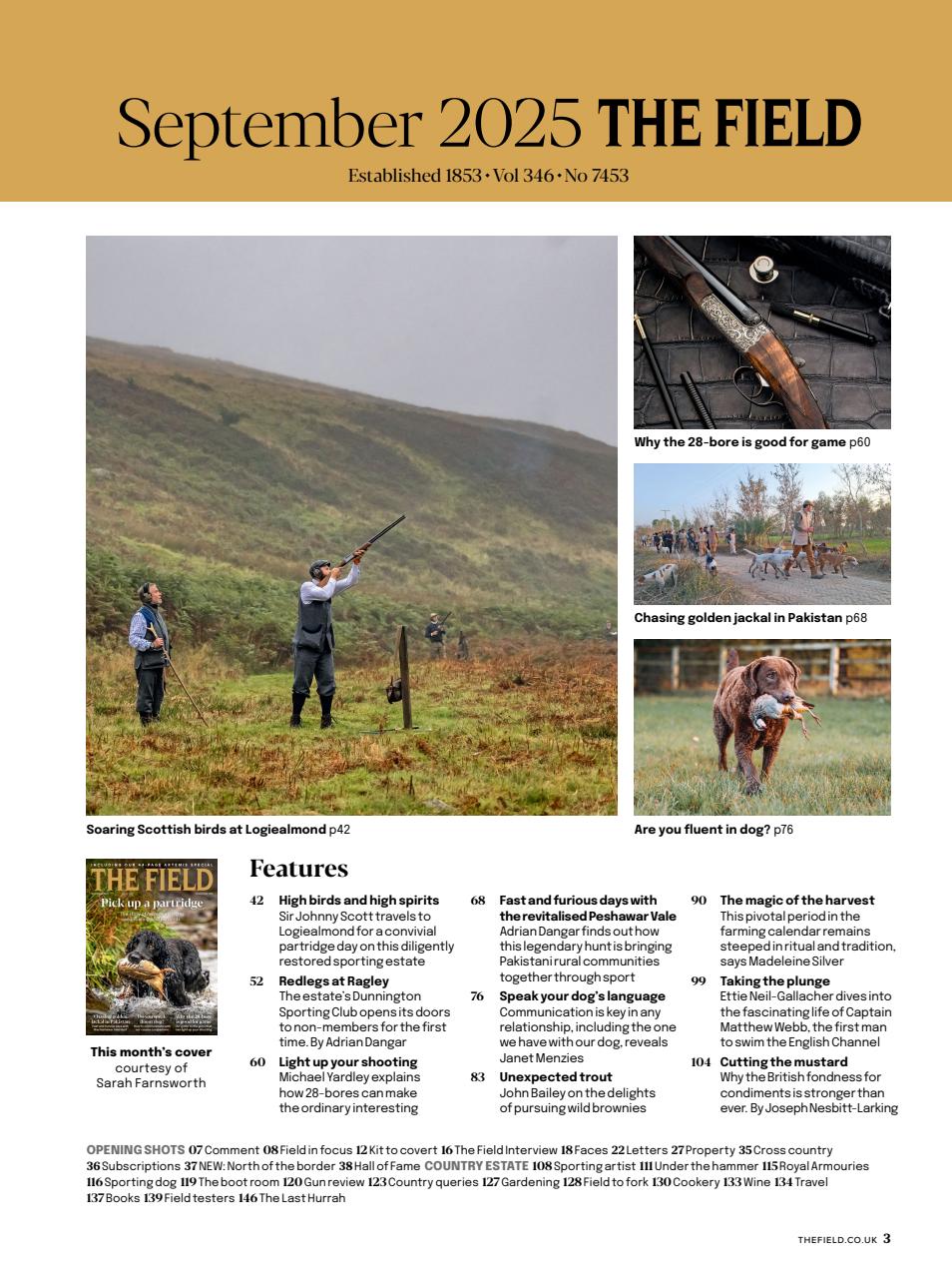 The Field Preview Pages