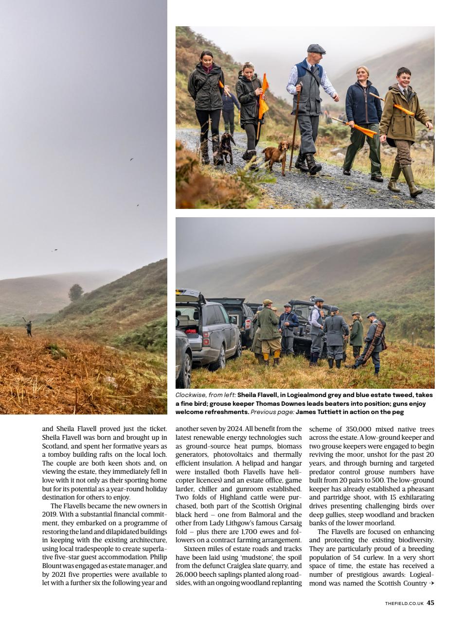 The Field Preview Pages