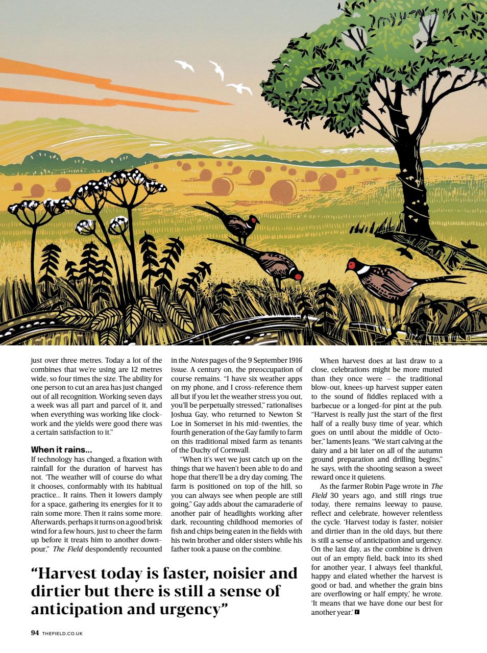 The Field Preview Pages