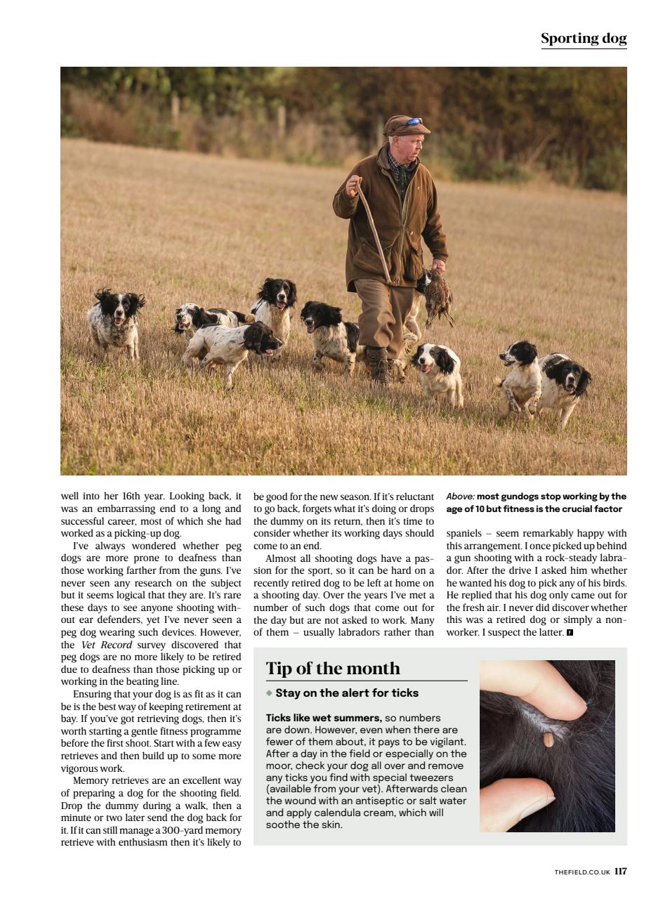 The Field Preview Pages