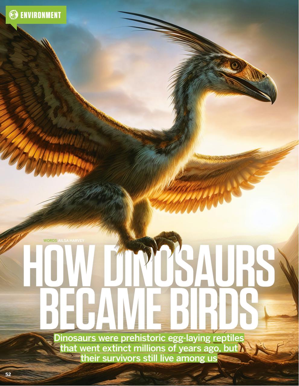 How It Works Preview Pages