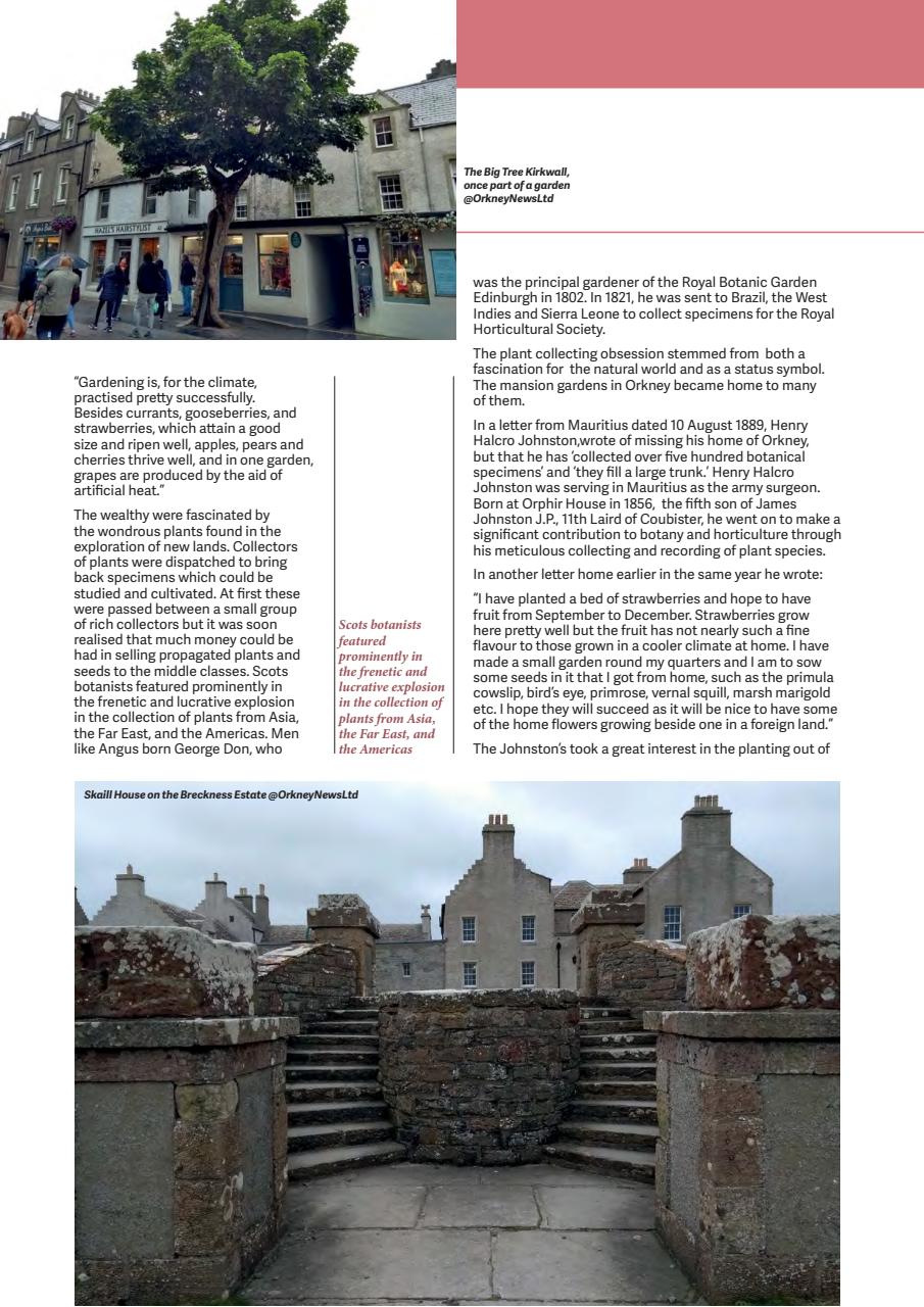 iScot Magazine Preview Pages