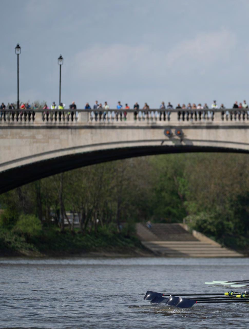 Row360 Preview Pages