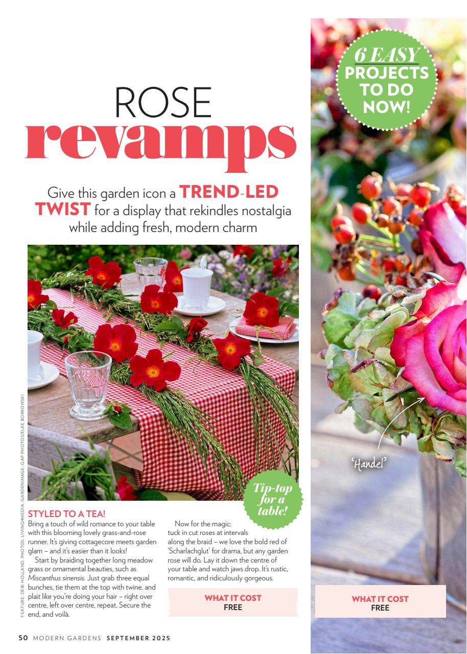 Modern Gardens Preview Pages