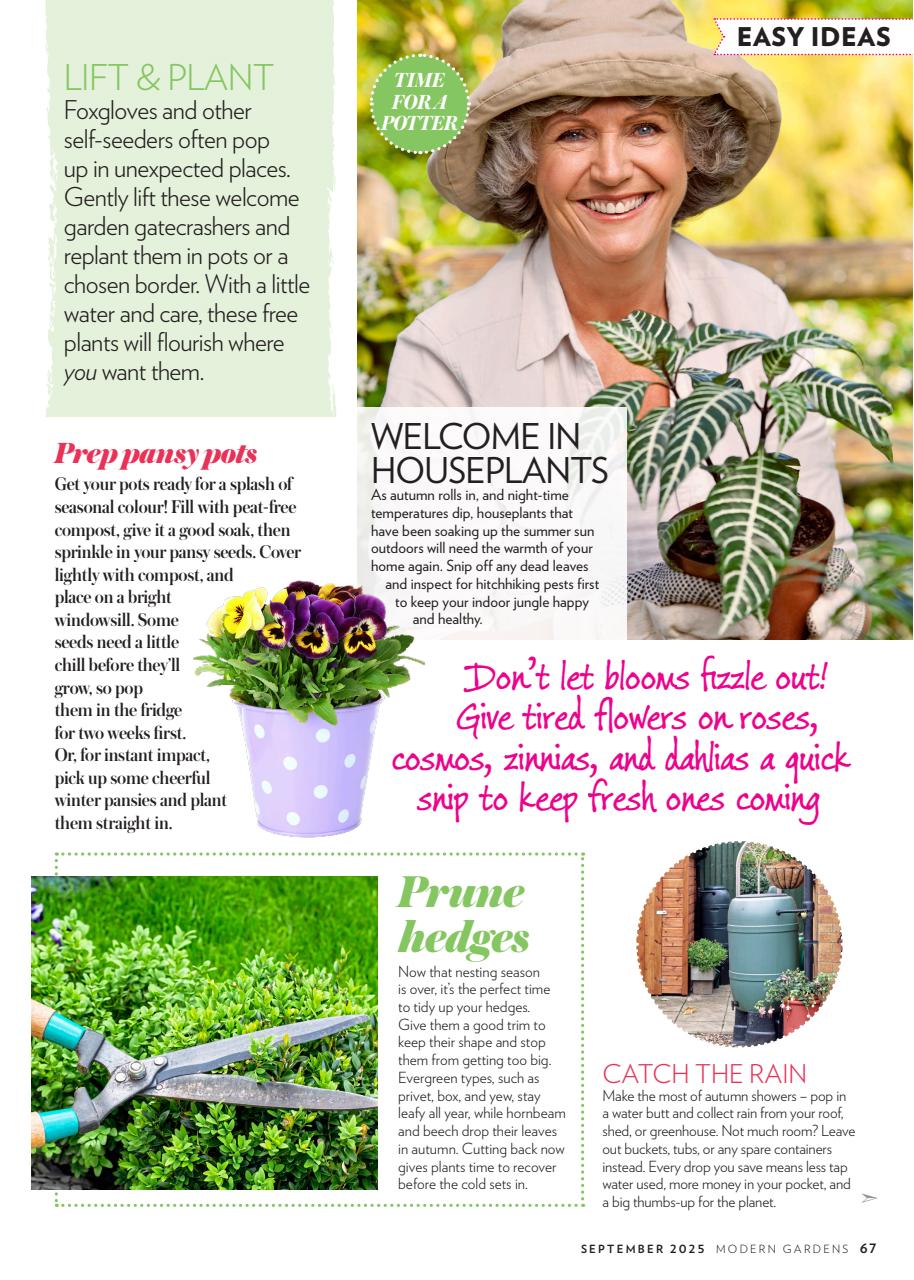 Modern Gardens Preview Pages