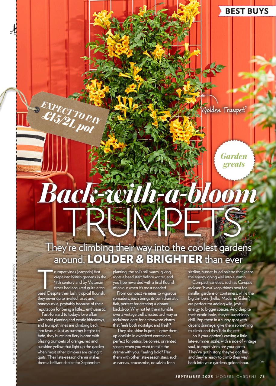 Modern Gardens Preview Pages