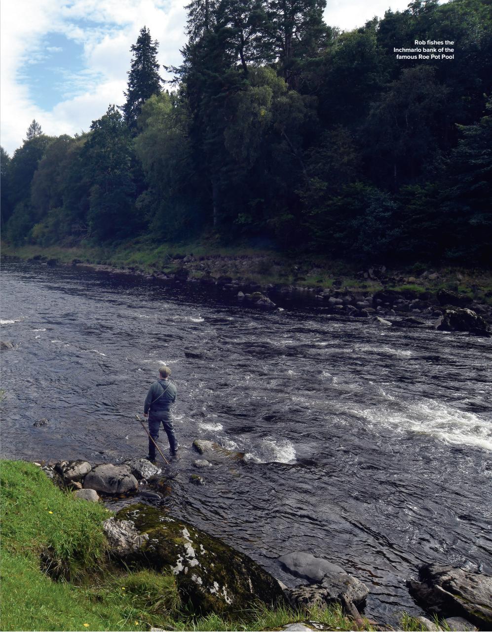 Trout & Salmon Preview Pages