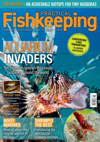 Practical Fishkeeping issue September 2025