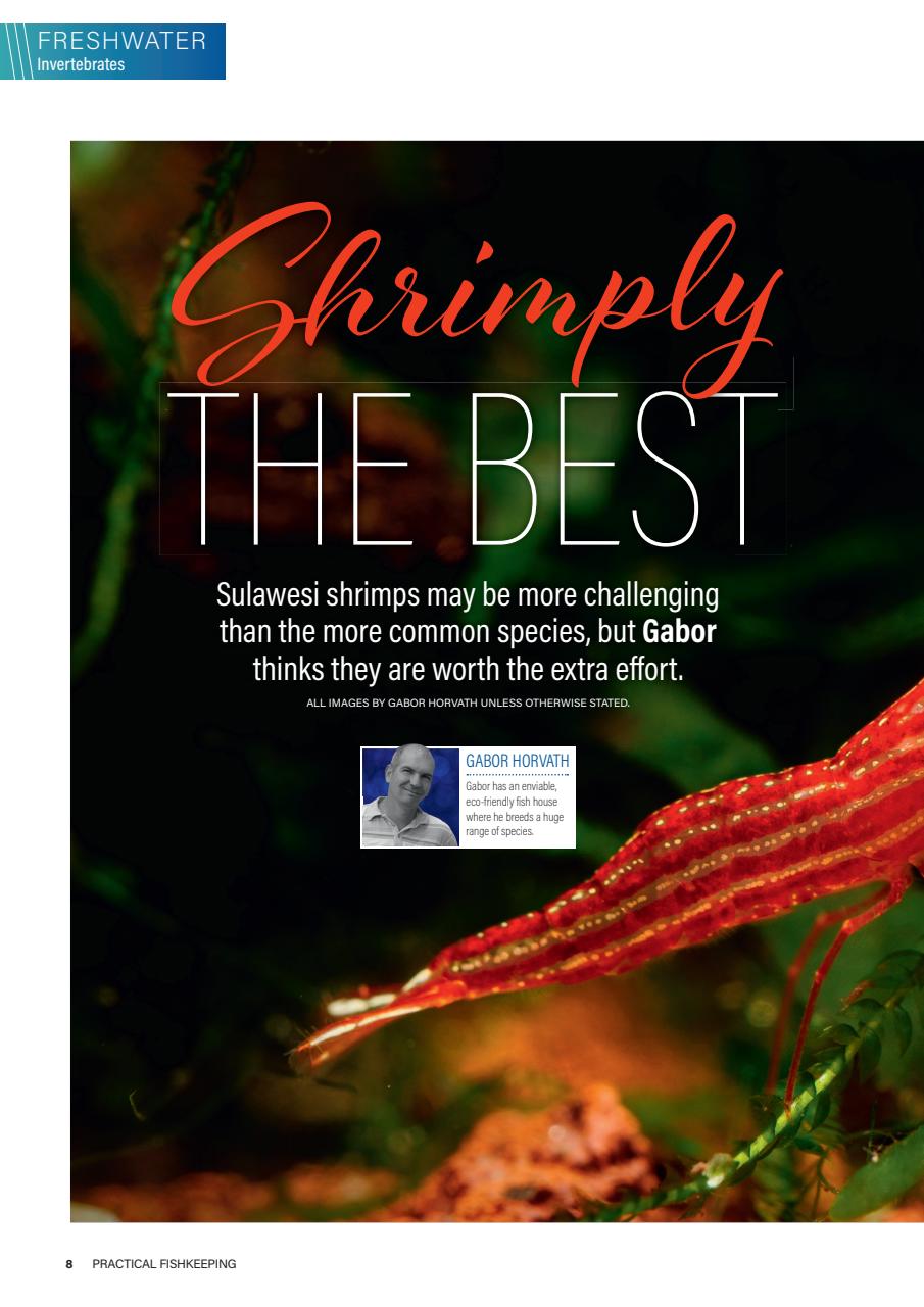 Practical Fishkeeping Preview Pages