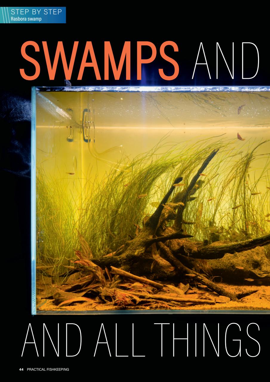 Practical Fishkeeping Preview Pages