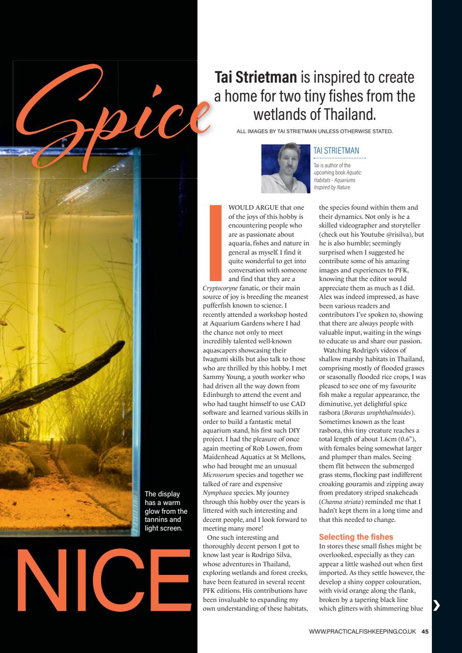 Practical Fishkeeping Preview Pages