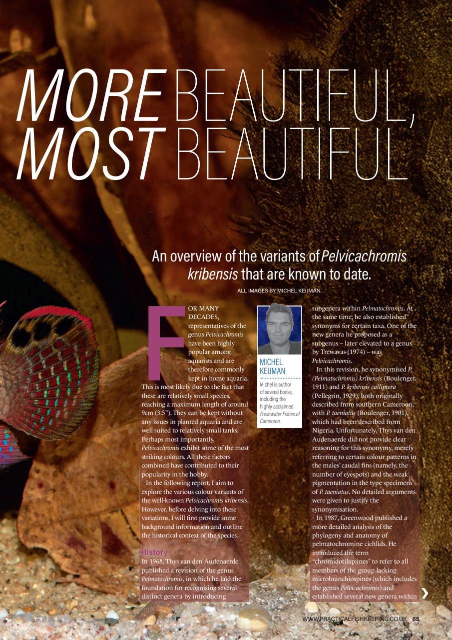 Practical Fishkeeping Preview Pages