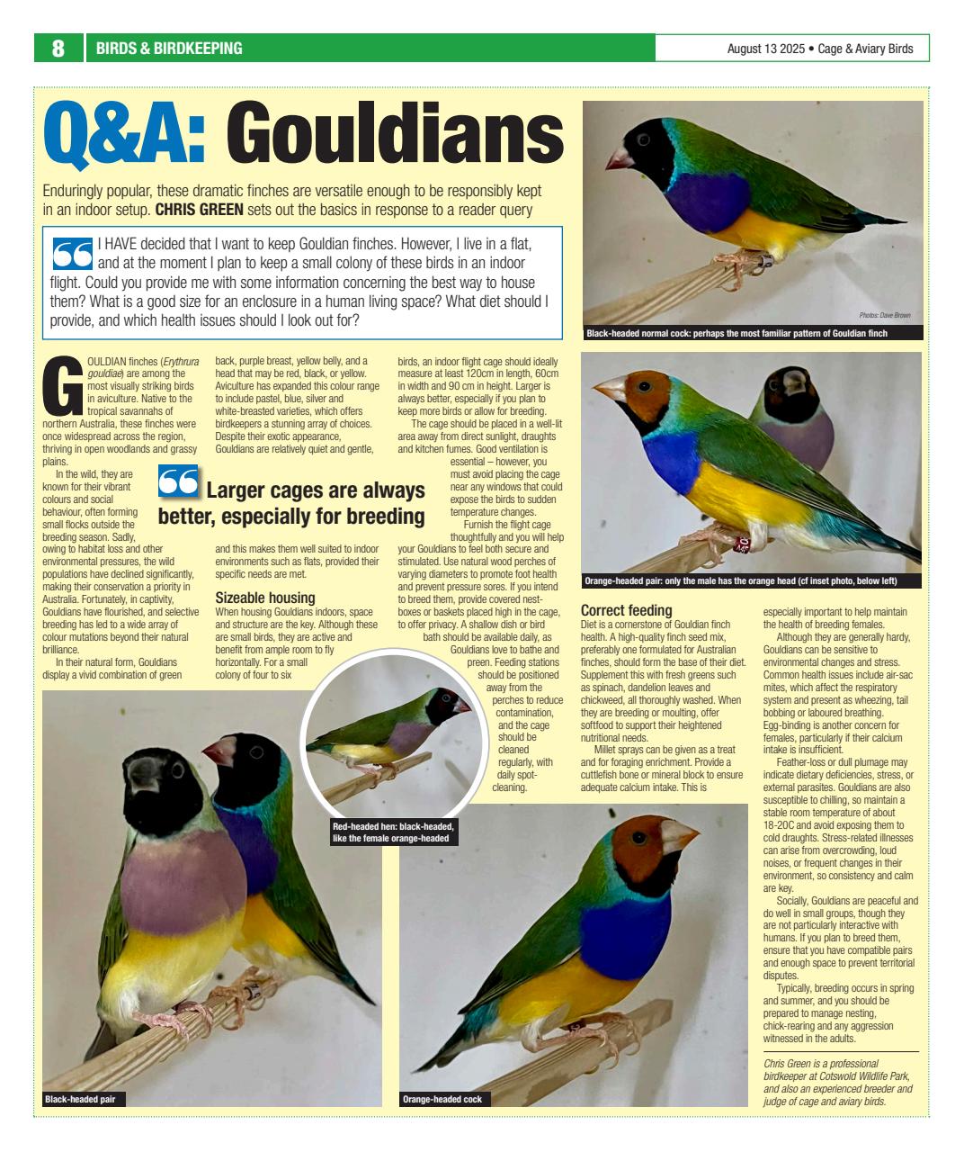 Cage & Aviary Birds Preview Pages