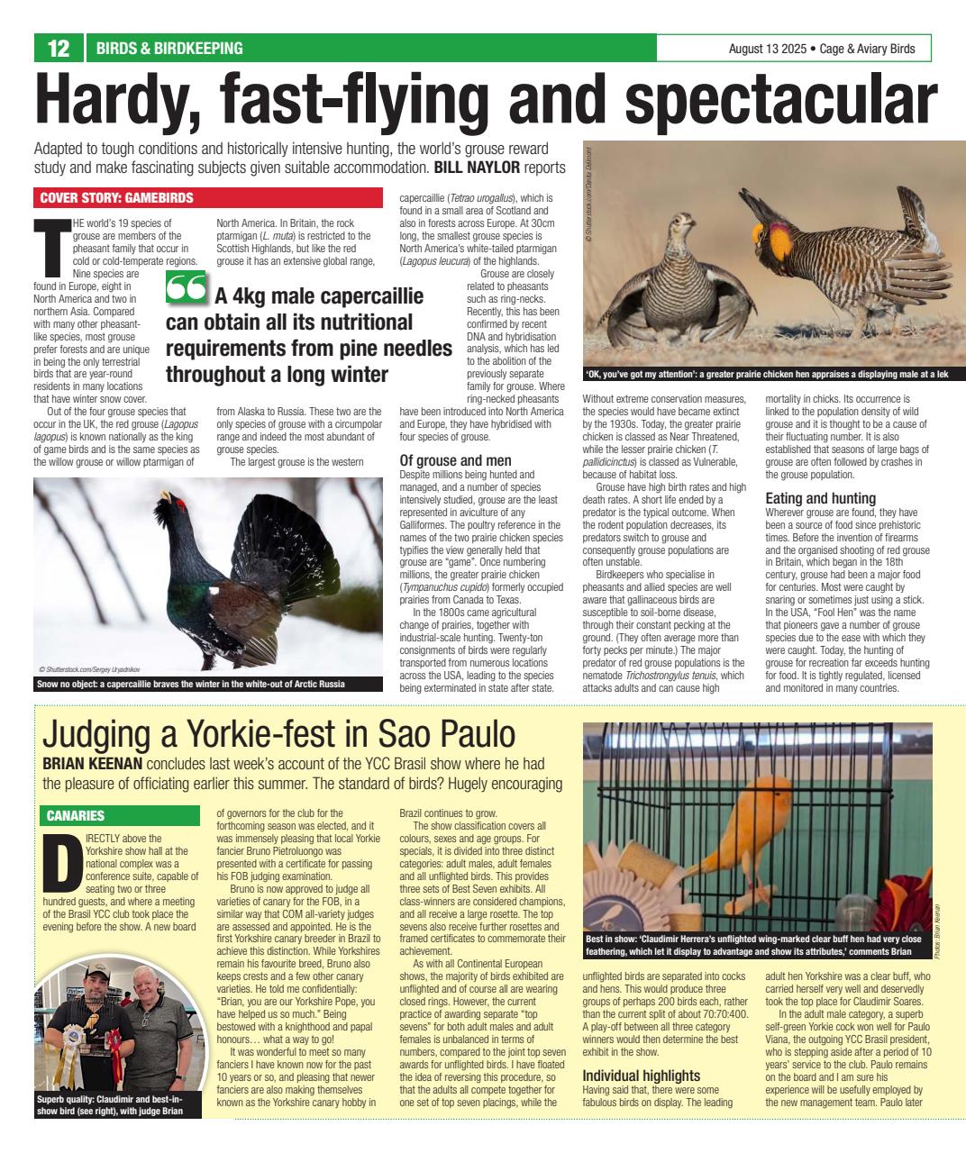 Cage & Aviary Birds Preview Pages