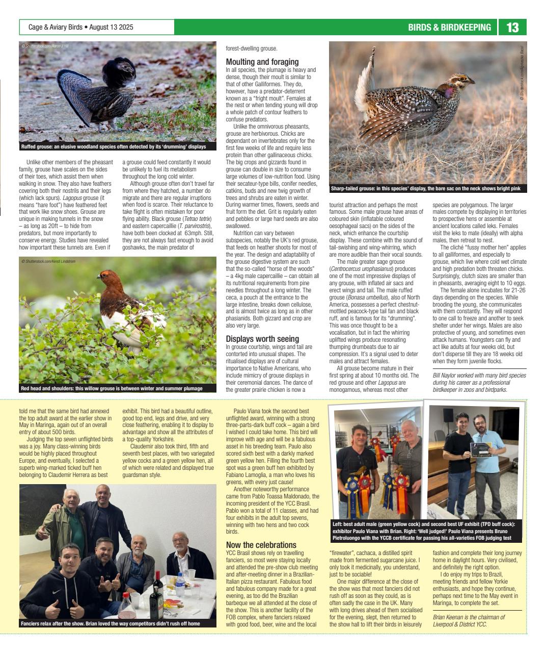 Cage & Aviary Birds Preview Pages