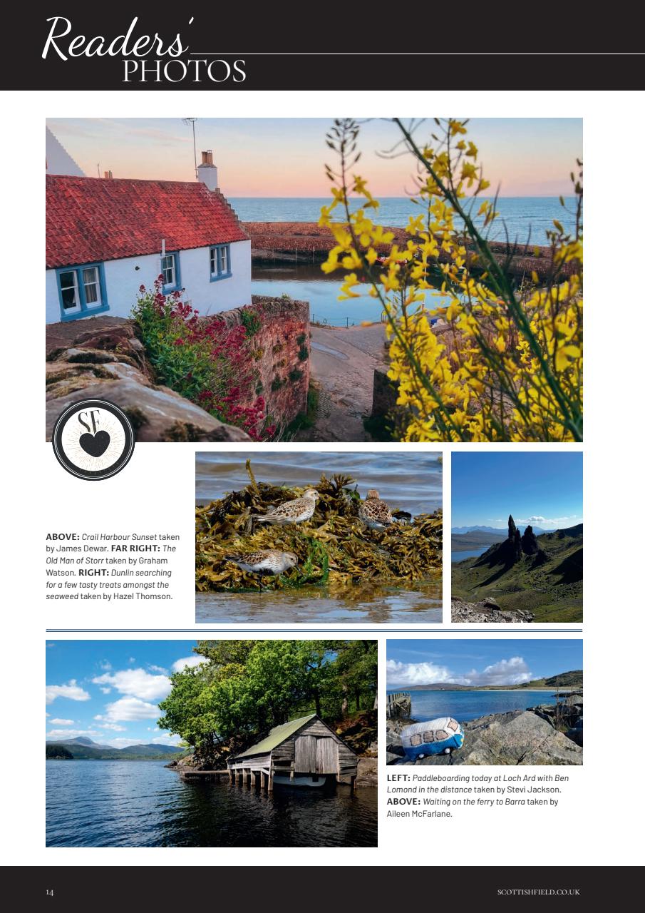 Scottish Field Preview Pages