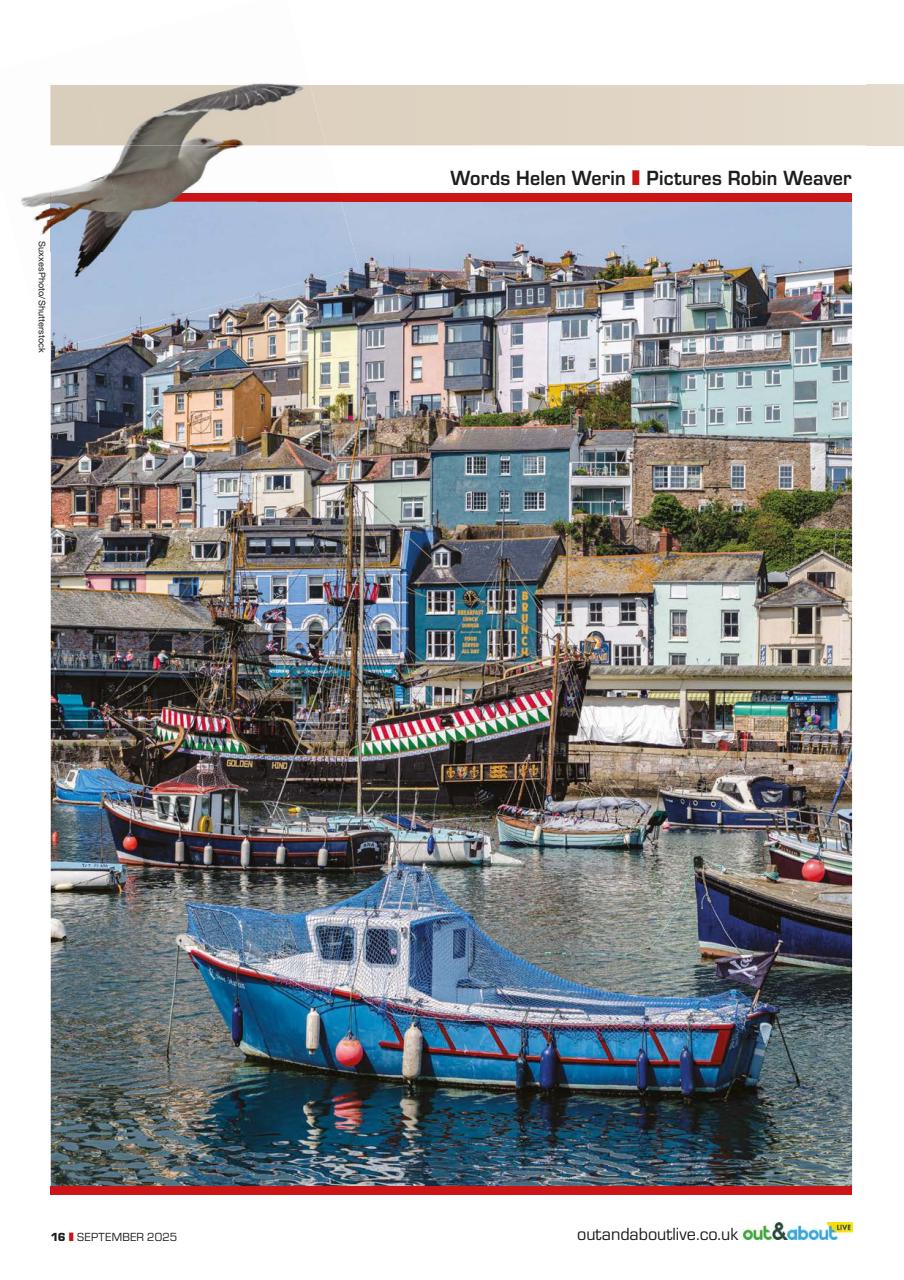 Campervan Preview Pages