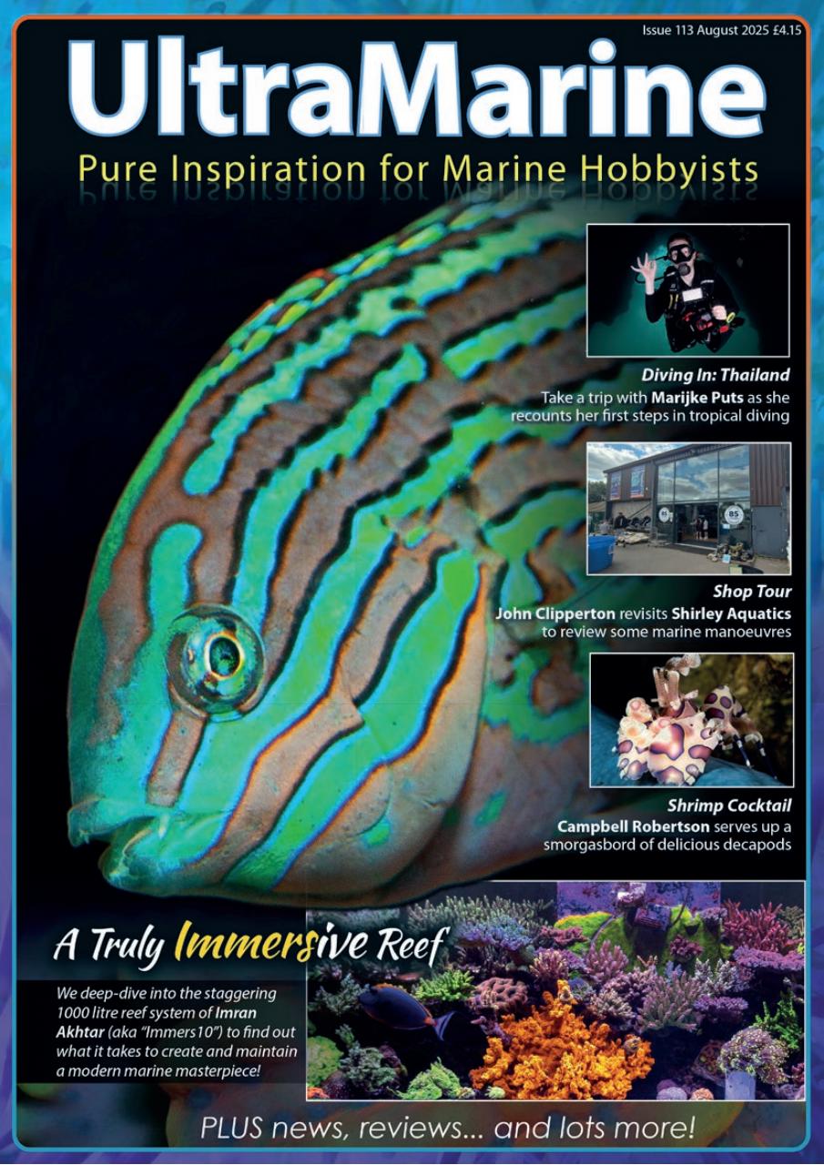 UltraMarine Magazine Preview Pages