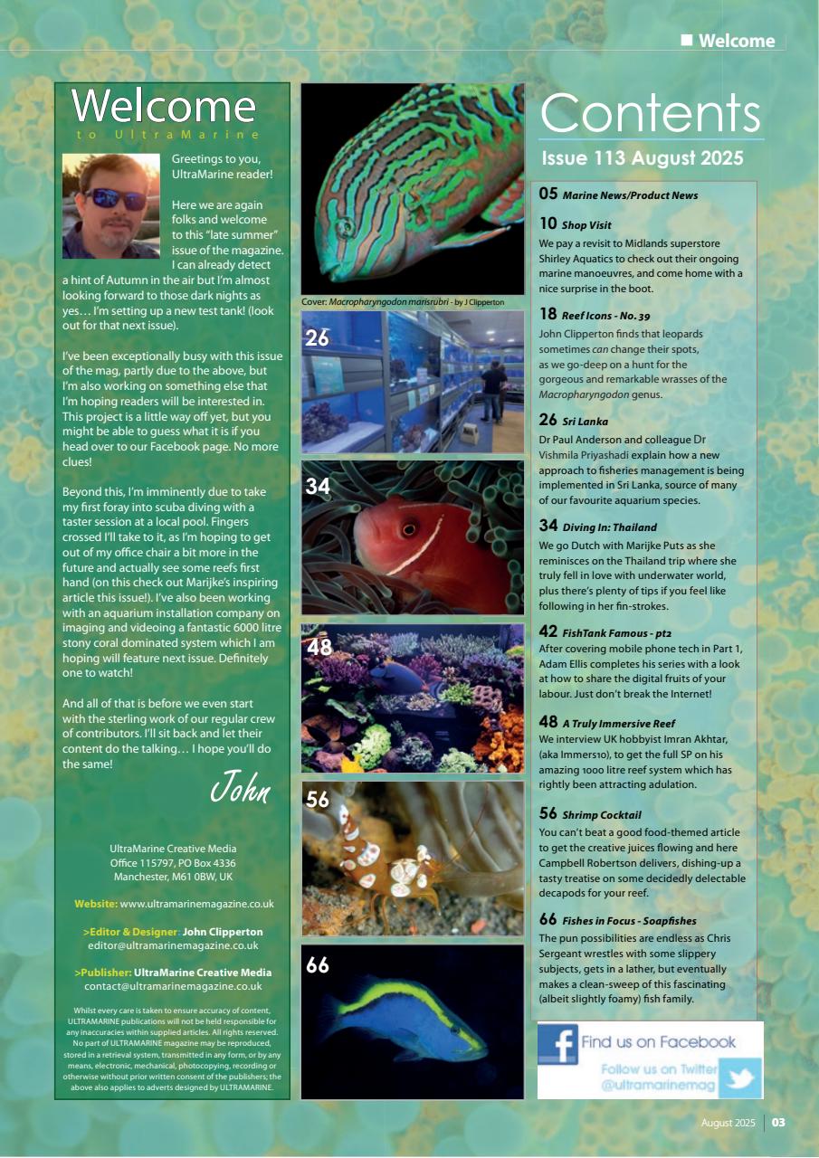 UltraMarine Magazine Preview Pages