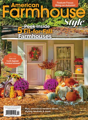 American Farmhouse Style issue 