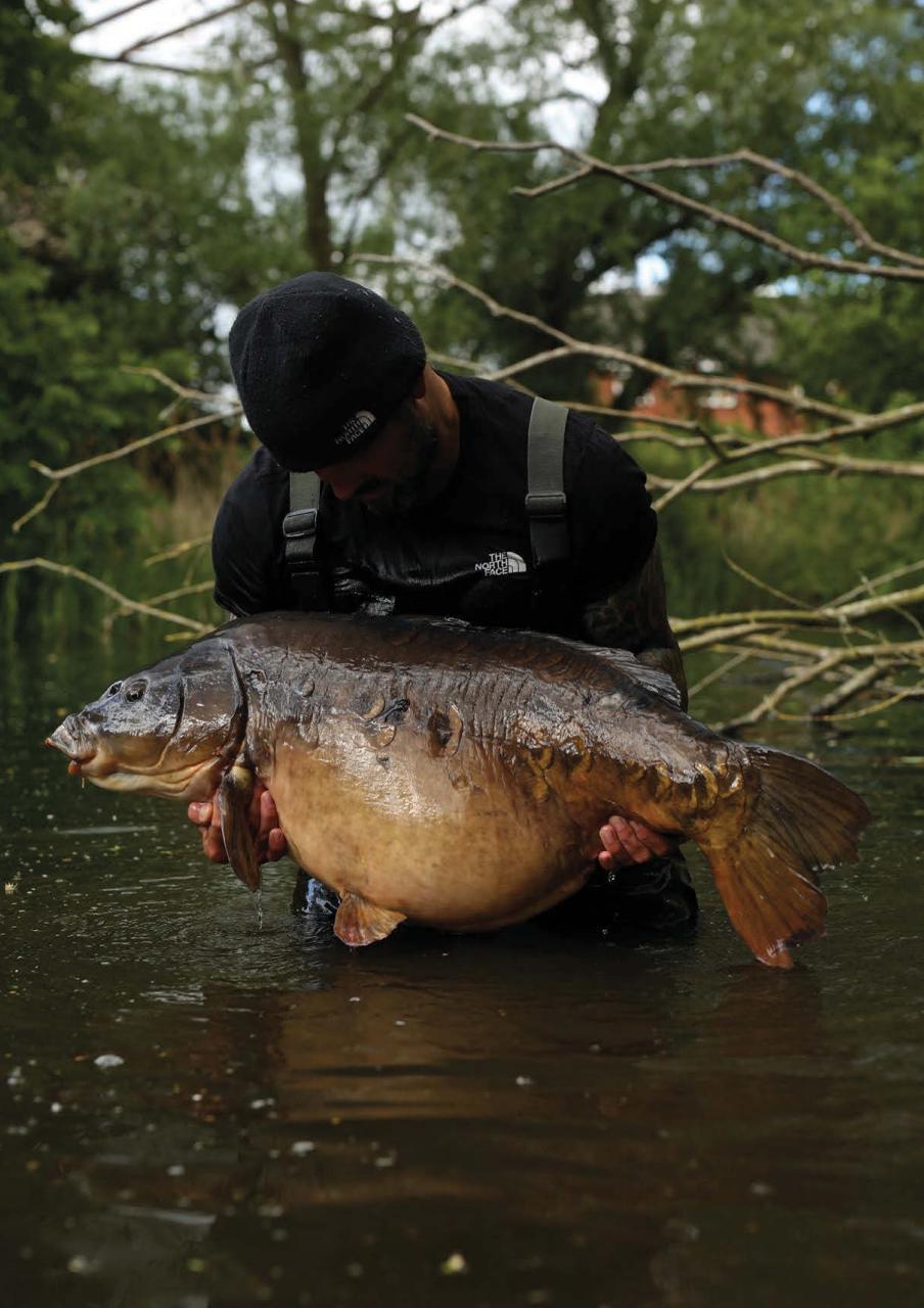 CARPology Magazine Preview Pages