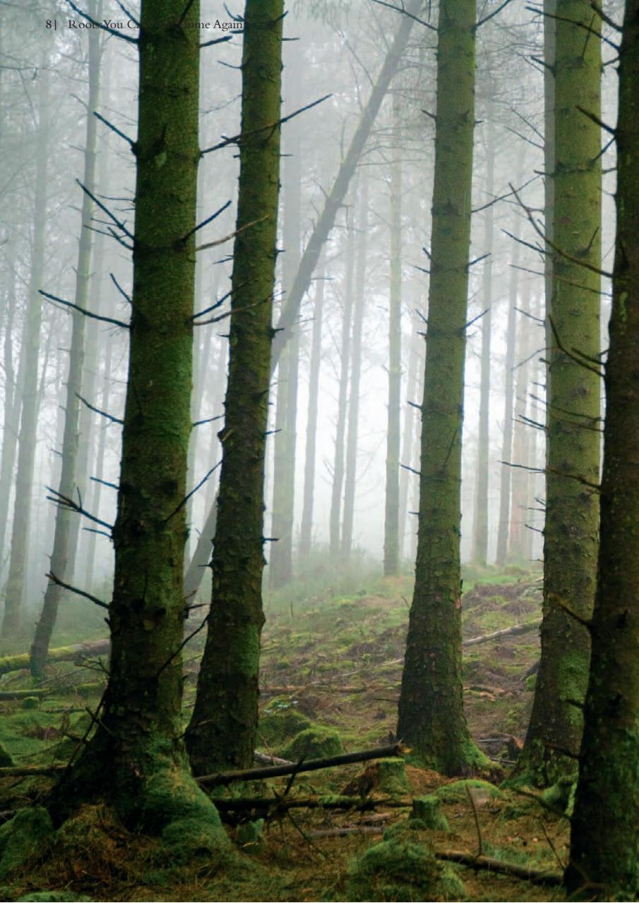 Singletrack Preview Pages