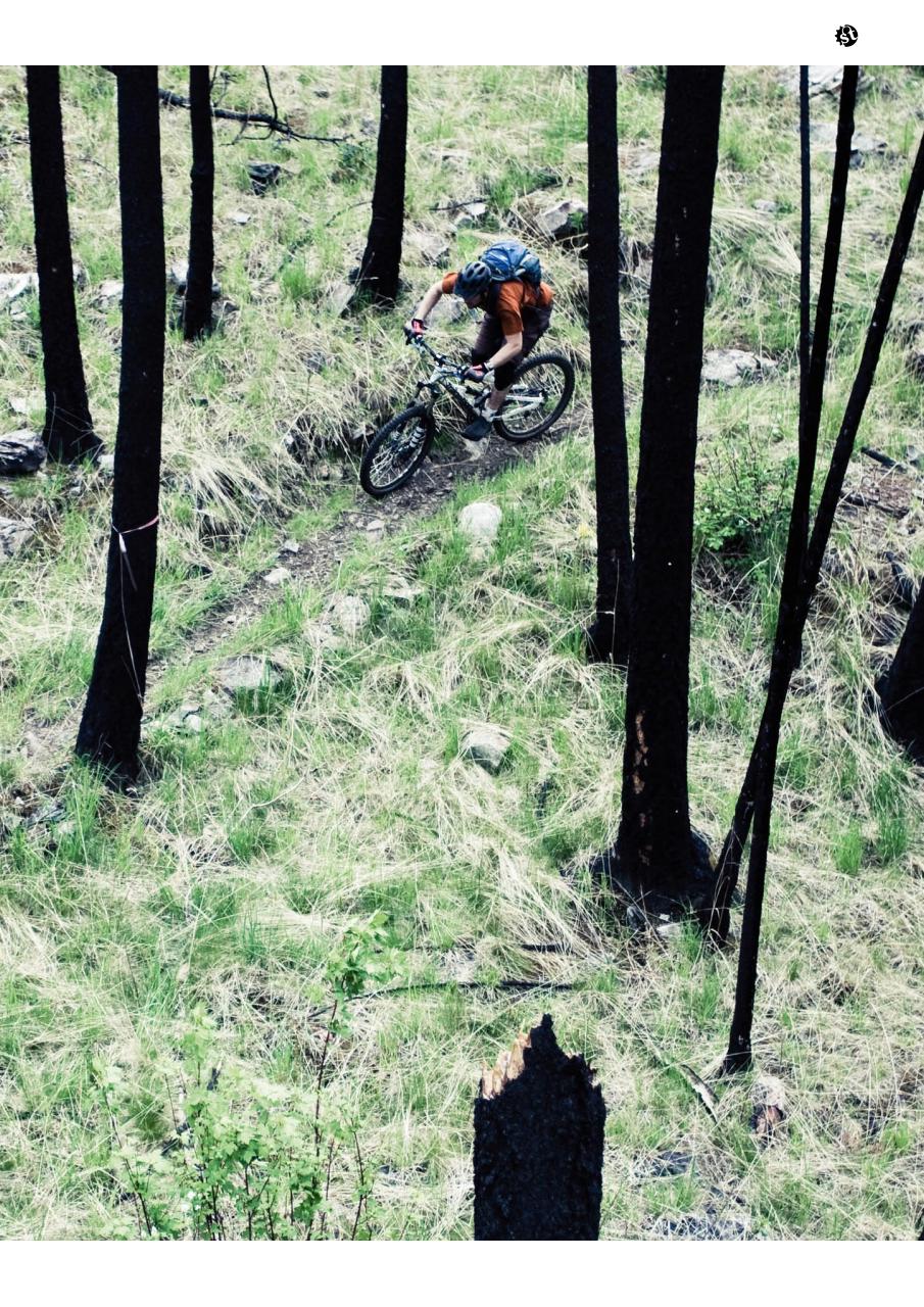 Singletrack Preview Pages