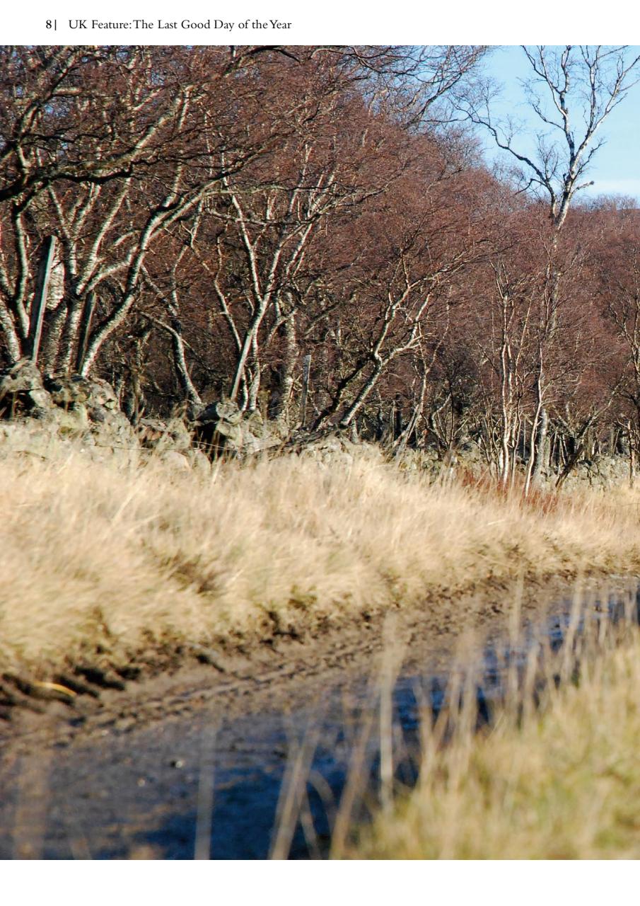 Singletrack Preview Pages