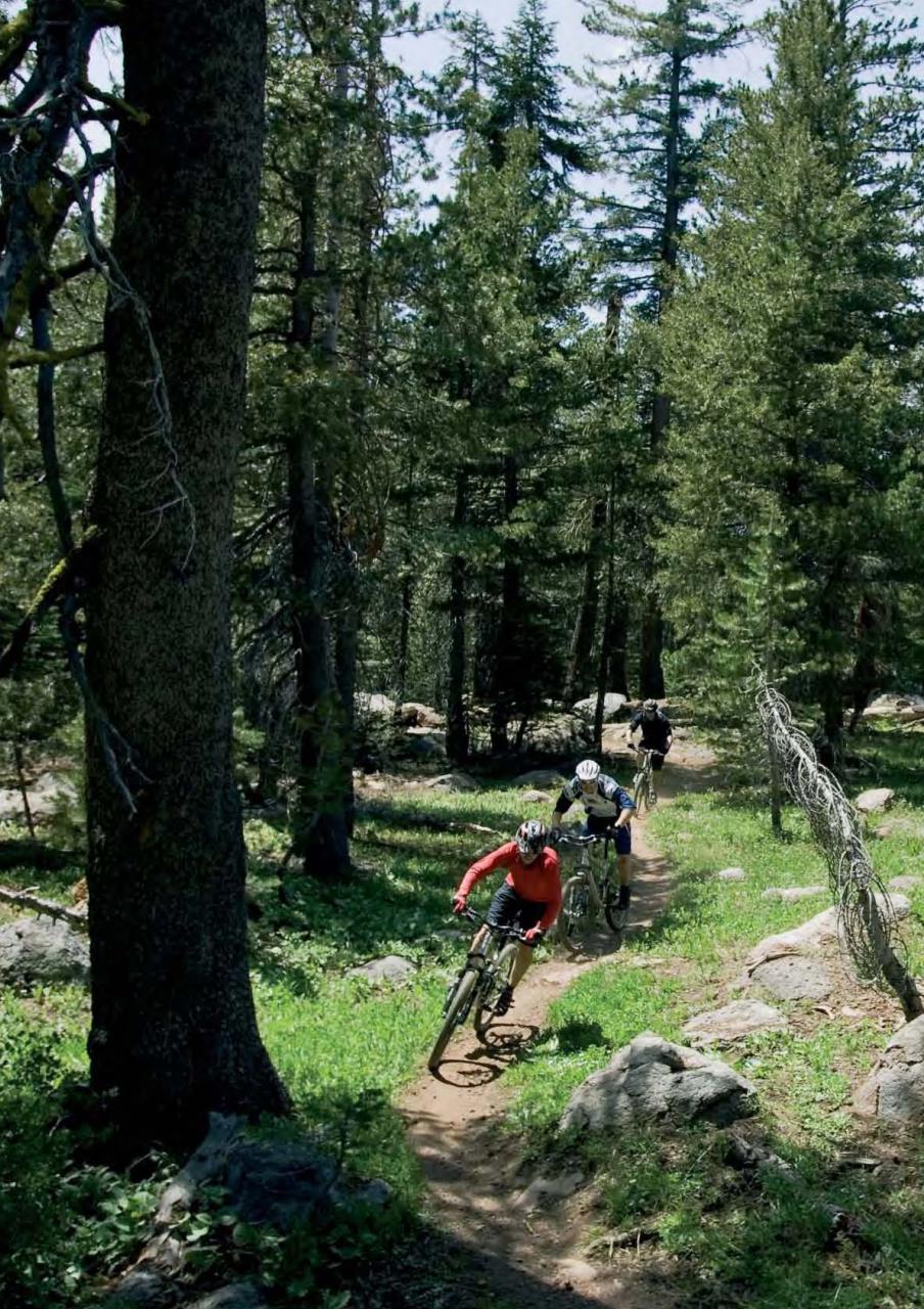 Singletrack Preview Pages