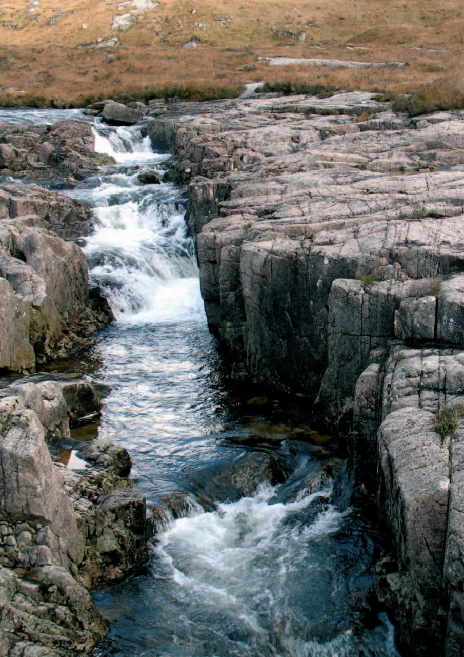 Singletrack Preview Pages