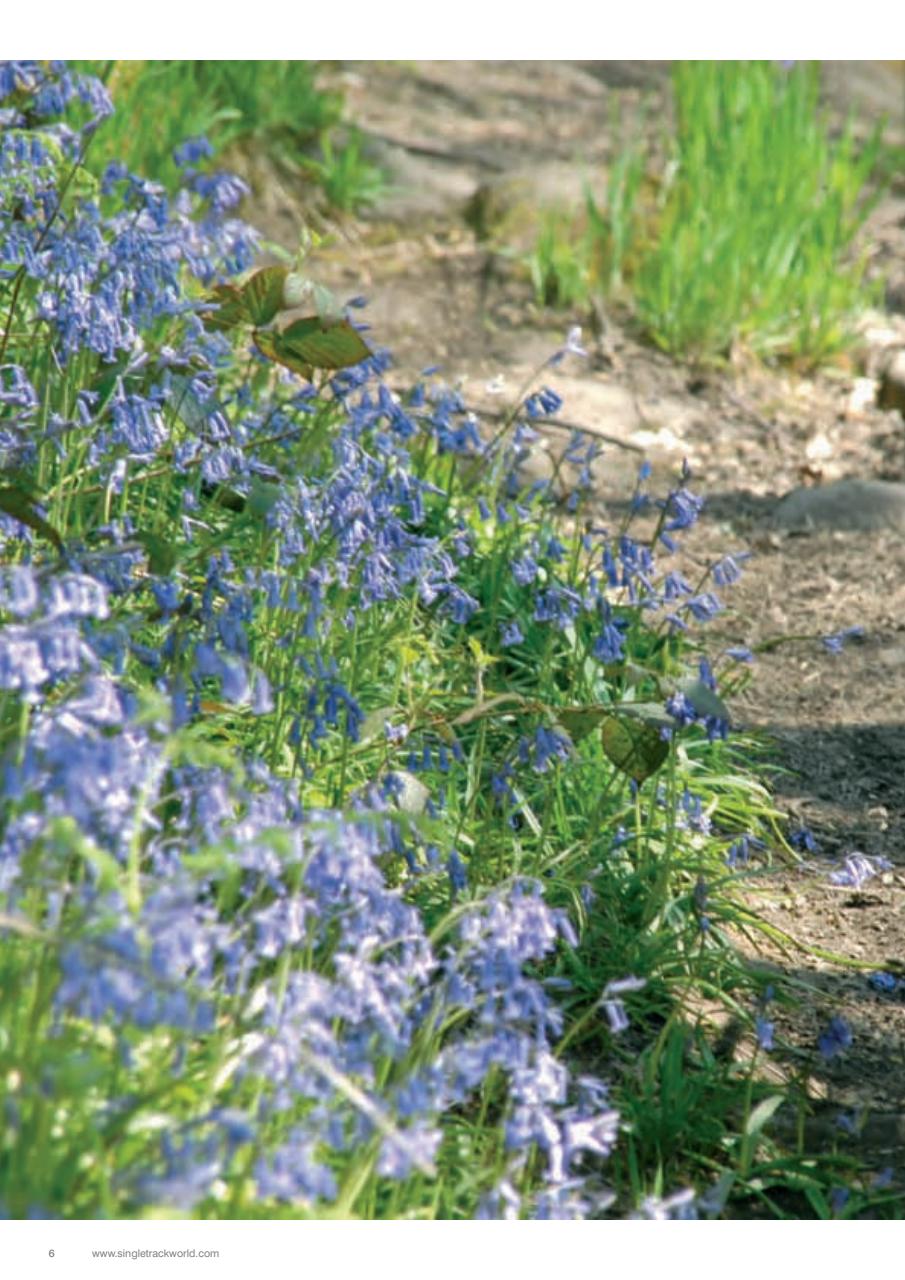 Singletrack Preview Pages