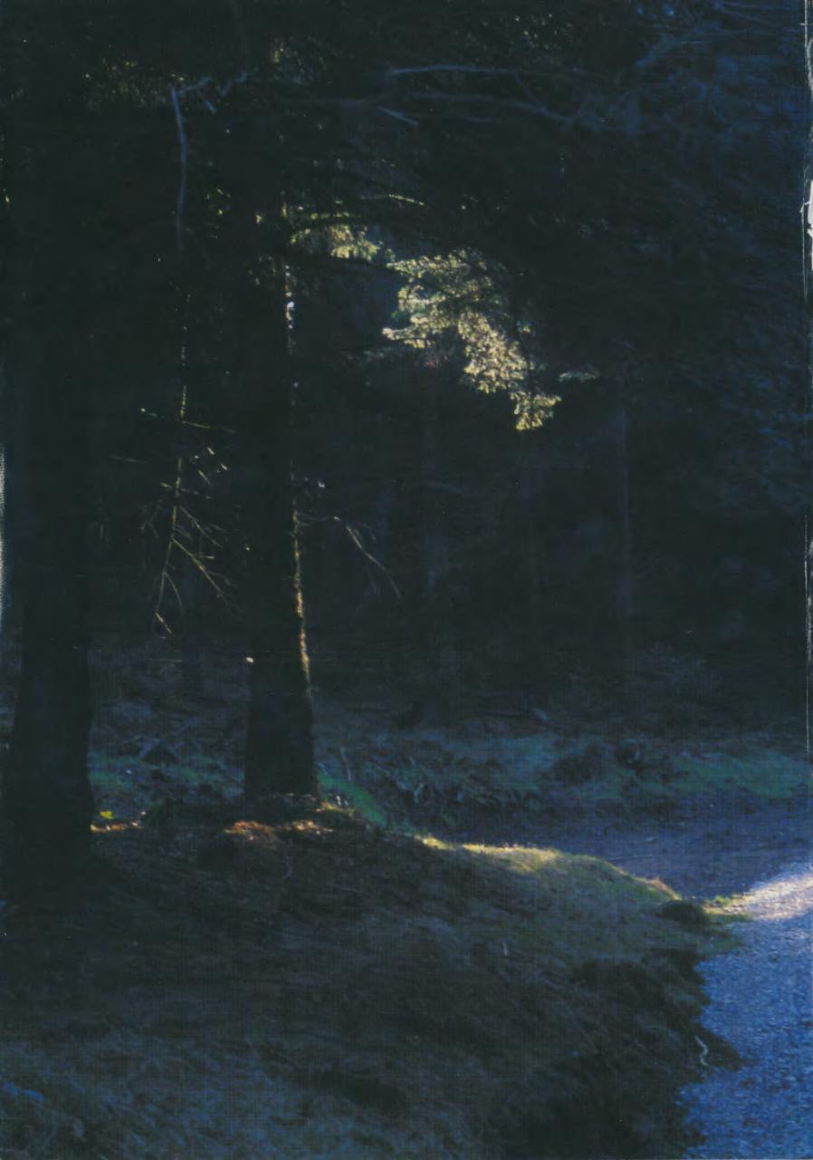 Singletrack Preview Pages