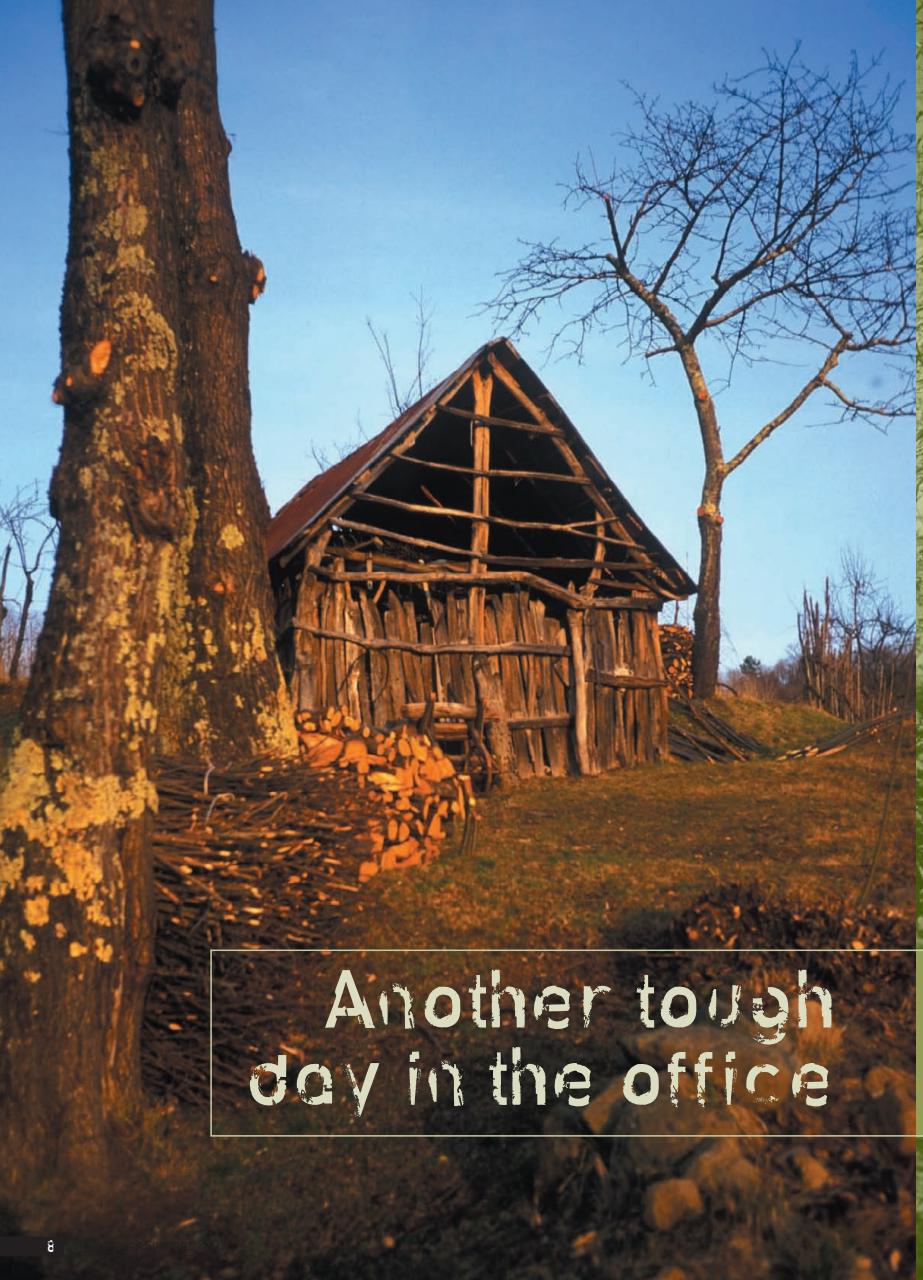 Singletrack Preview Pages