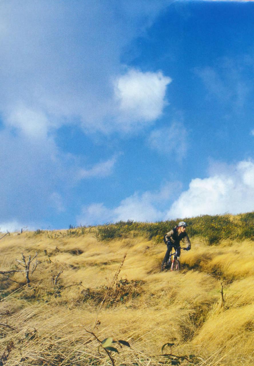 Singletrack Preview Pages