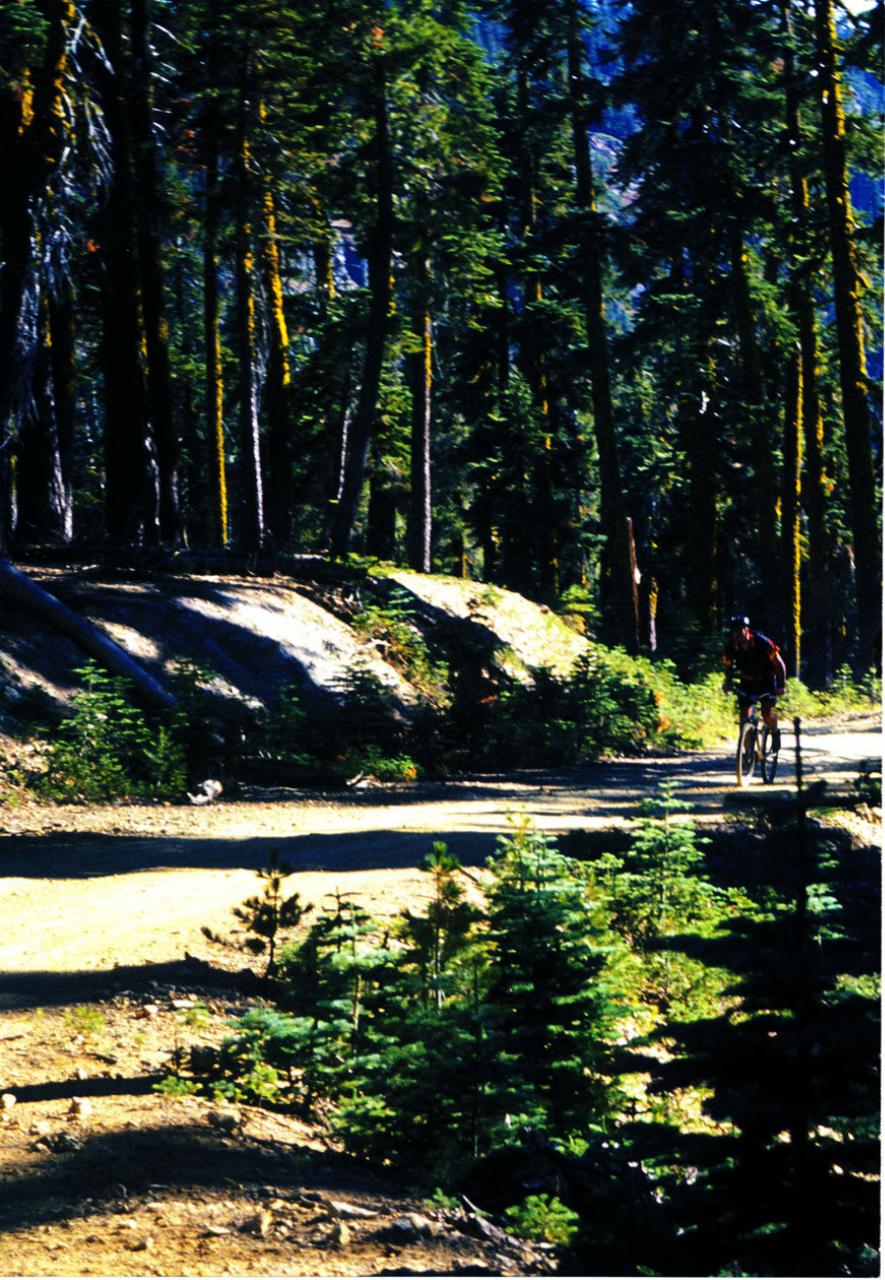 Singletrack Preview Pages