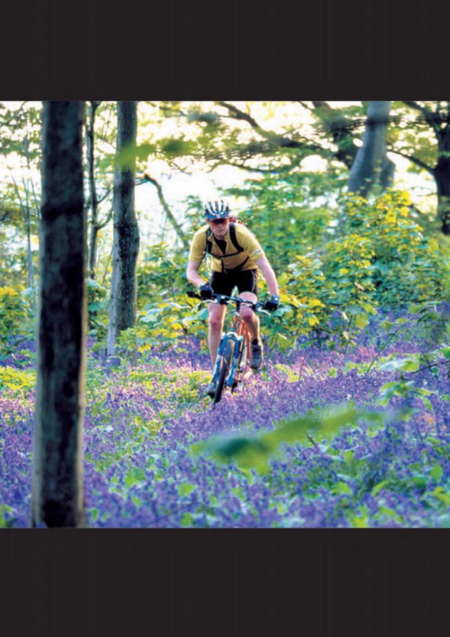 Singletrack Preview Pages