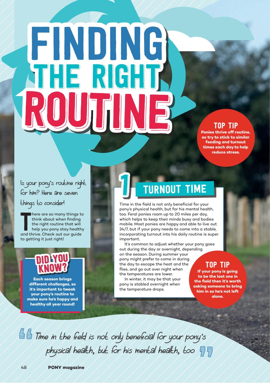 Pony Magazine Preview Pages