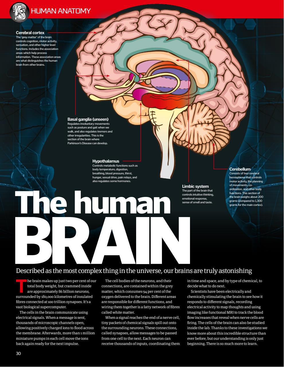 How It Works Bookazine Preview Pages