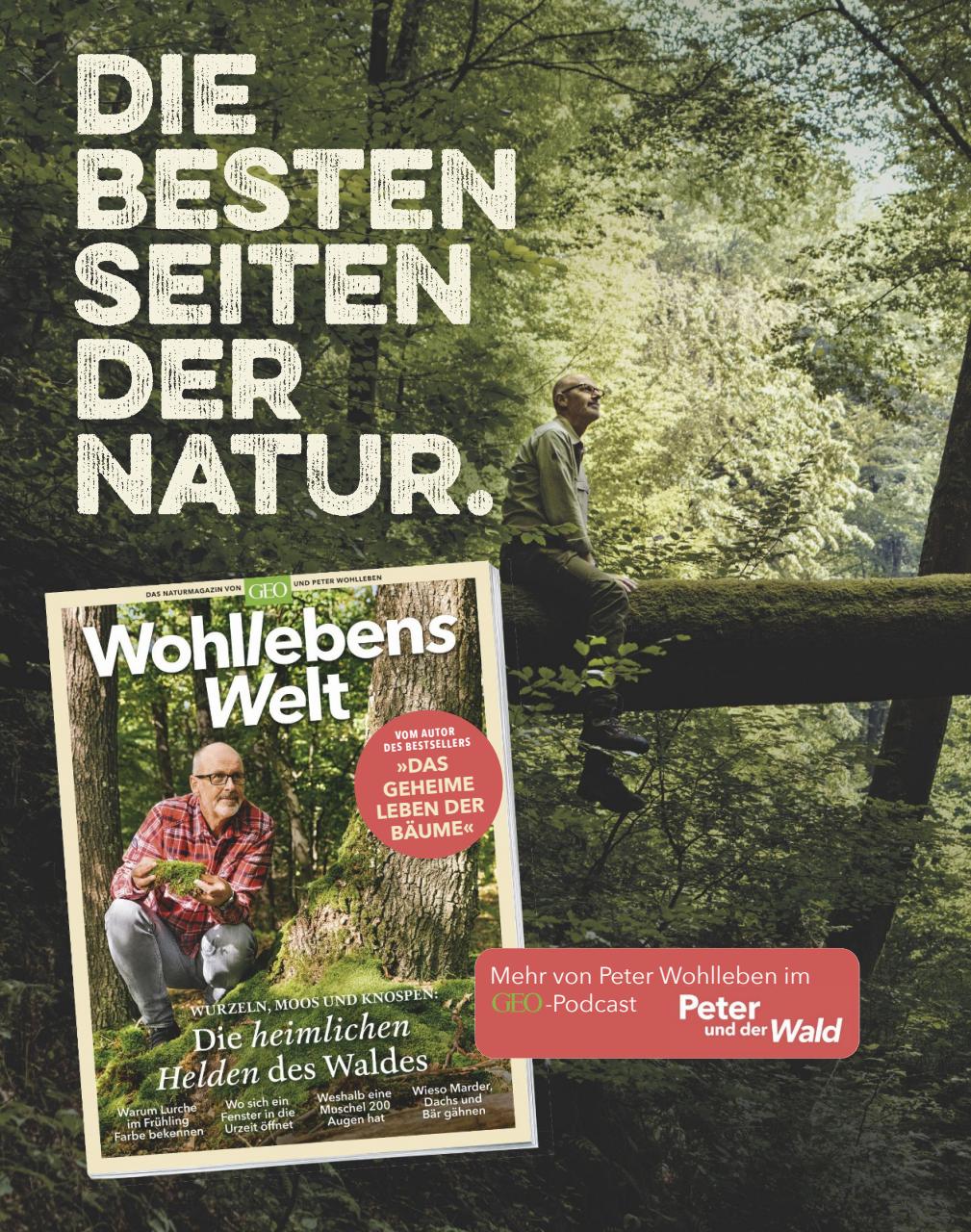 GEO SAISON Preview Pages