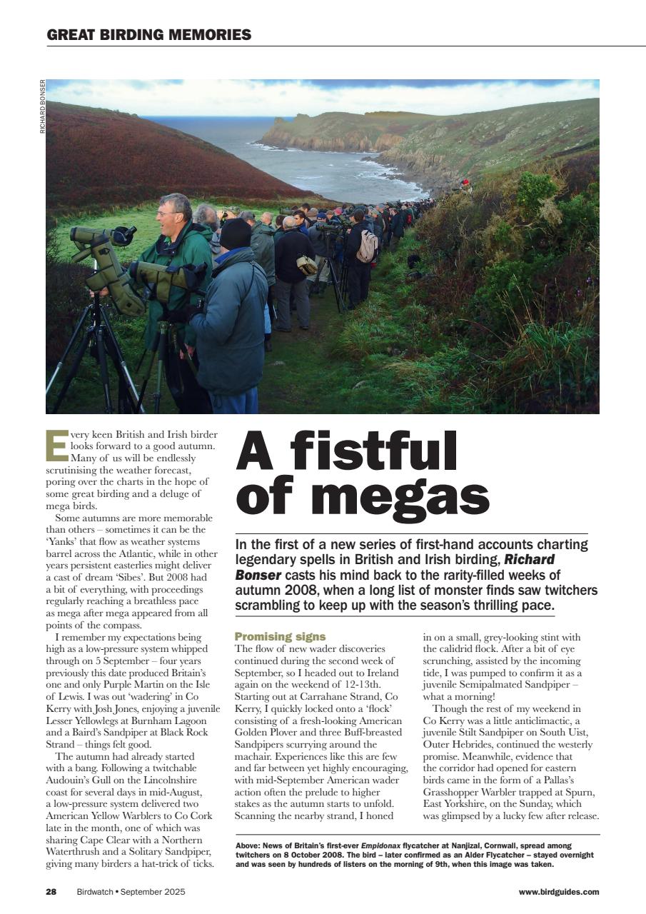 Birdwatch Magazine Preview Pages