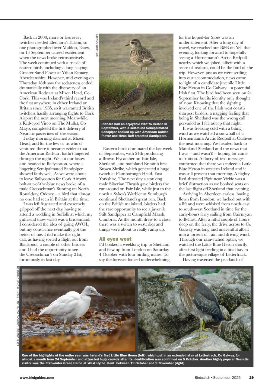 Birdwatch Magazine Preview Pages