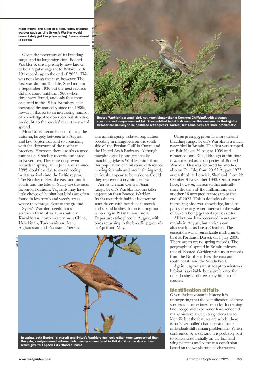 Birdwatch Magazine Preview Pages